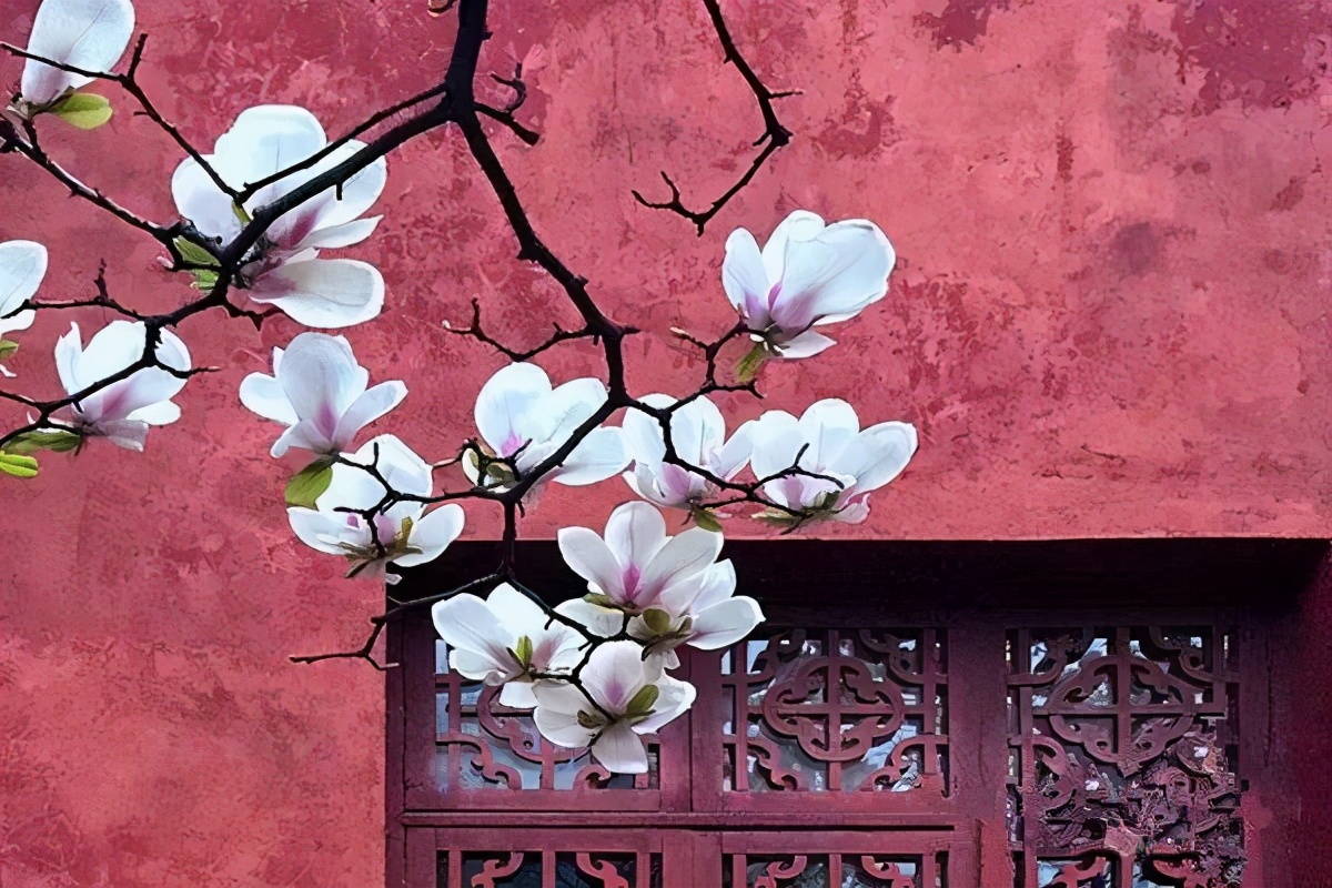 女性如何增加魅力,女人怎样可以增加魅力值