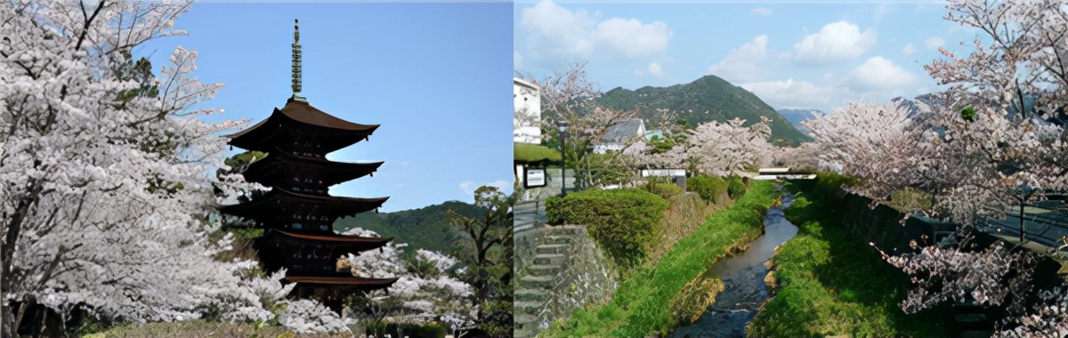 日本国立山口大学怎么样,山口大学在日本怎么样啊