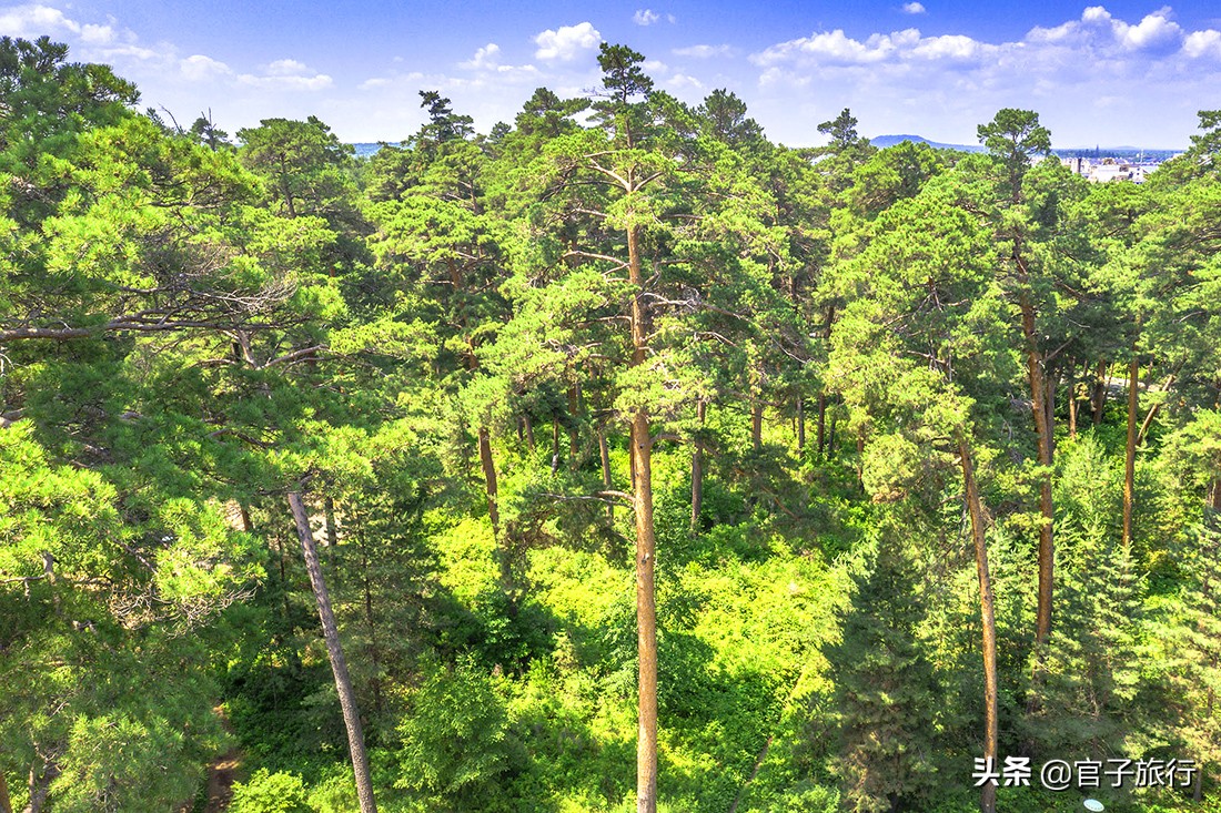自驾游夏天长白山旅游攻略,夏天长白山附近旅游攻略
