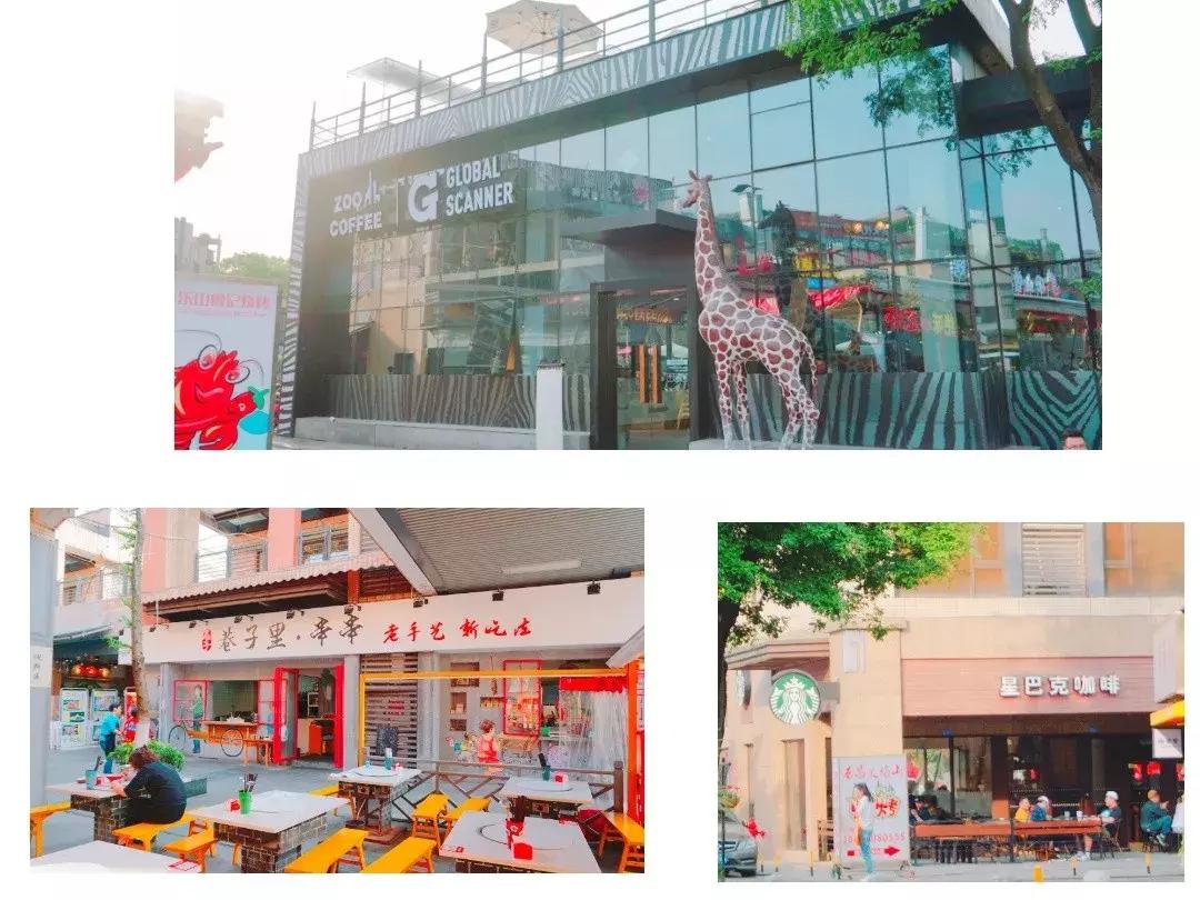 我的青春，叫电子科大成都学院！