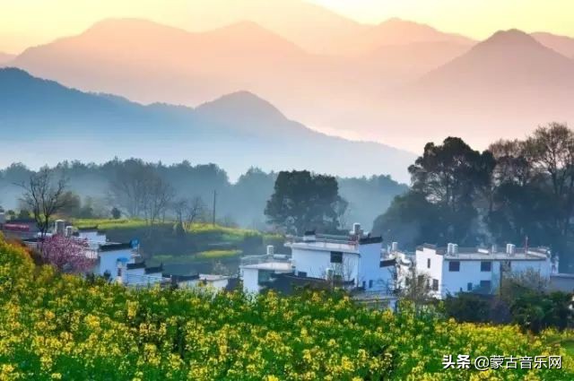 新歌推荐|乌兰娜《童年的油菜花》油菜花开正当时不负*光春**不负己