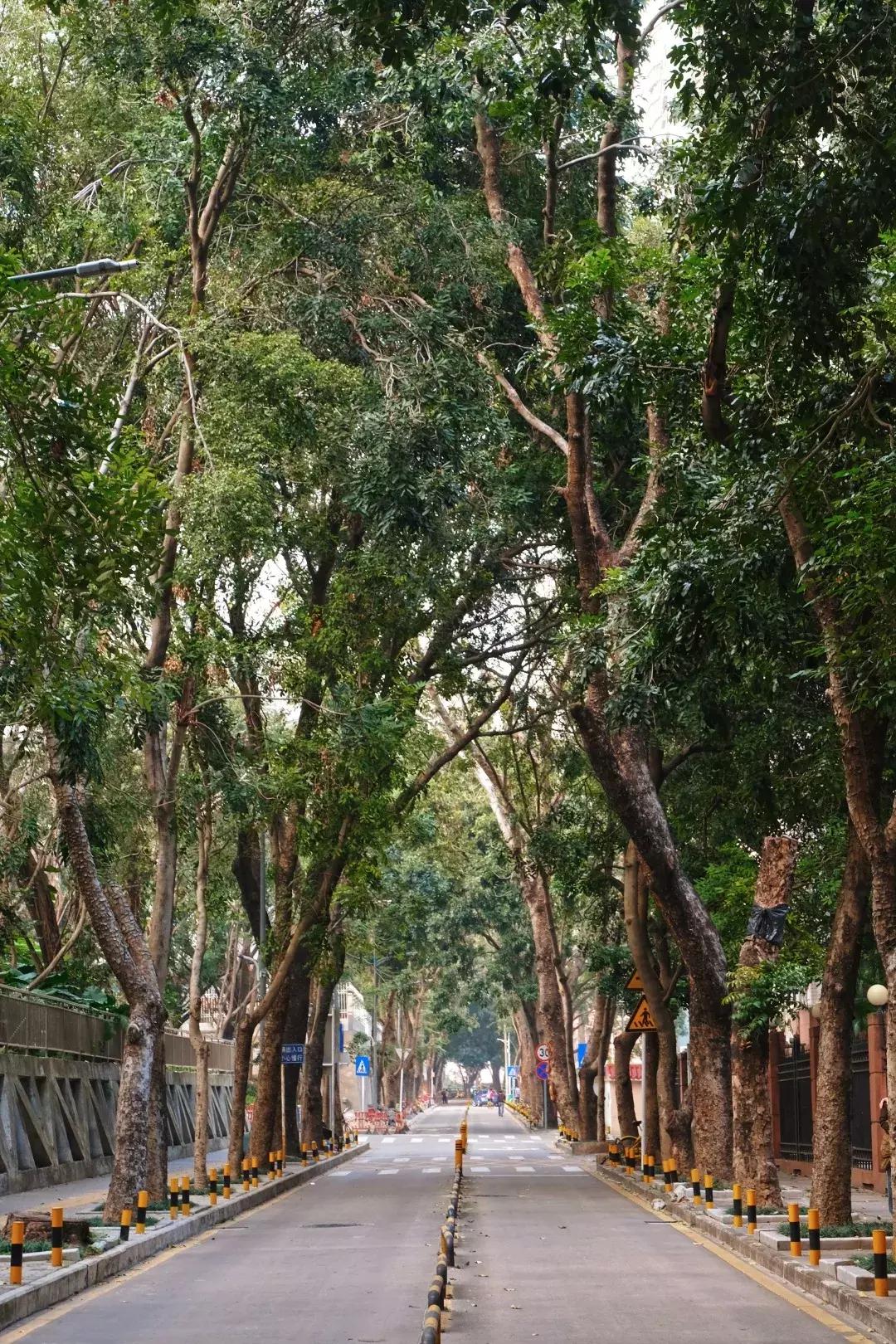 景甜经典片段,景甜童年照