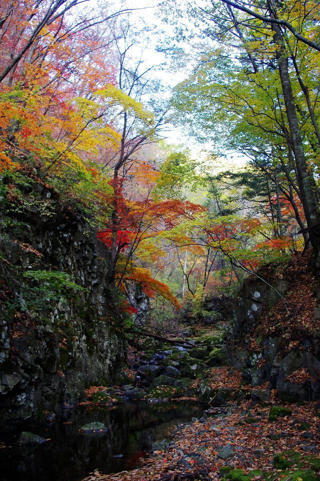 十一沿途风景,十一去红叶谷的景致