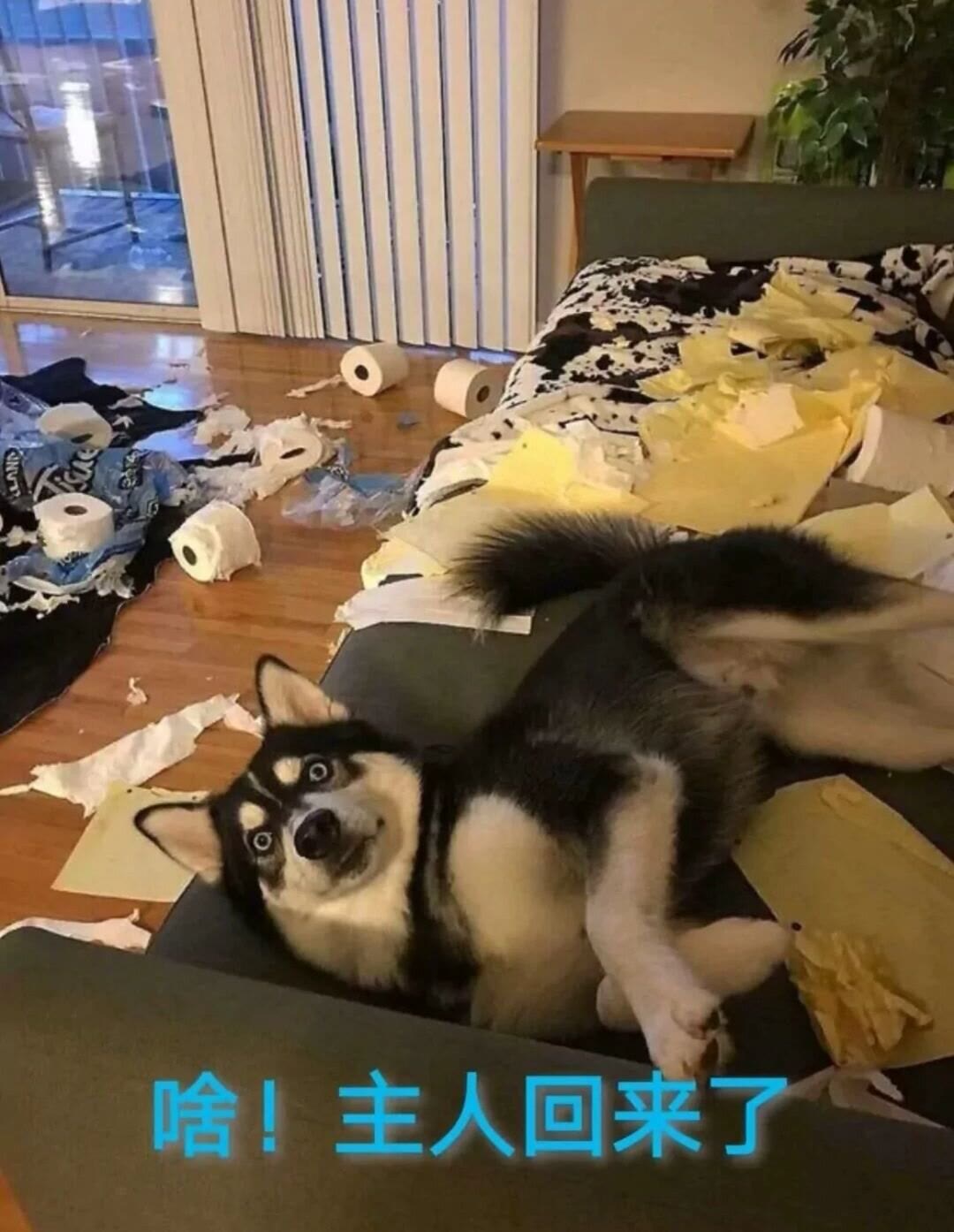 幽默笑话:女闺蜜逗弟弟:我给你做媳妇吧?结果弟弟:我幼儿园有