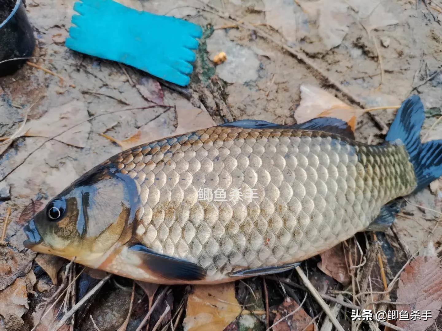 钓鱼人不愿意透露钓点段子,初春钓鱼有鱼无口怎么办