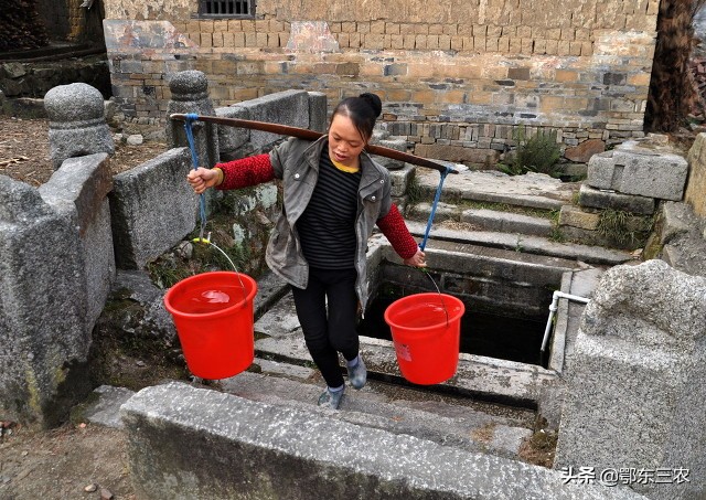 农村过去水井里，为什么总要养几条小鱼，挑水时候先看看鱼再挑？