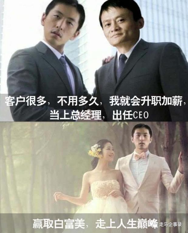 尚德机构损失保障,尚德机构股价实情