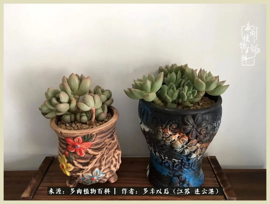 多去花前谈以后，少来月下忆当年