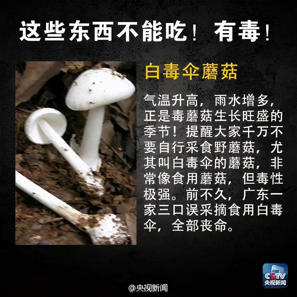 食安辟谣健康常识,食安科普的危害