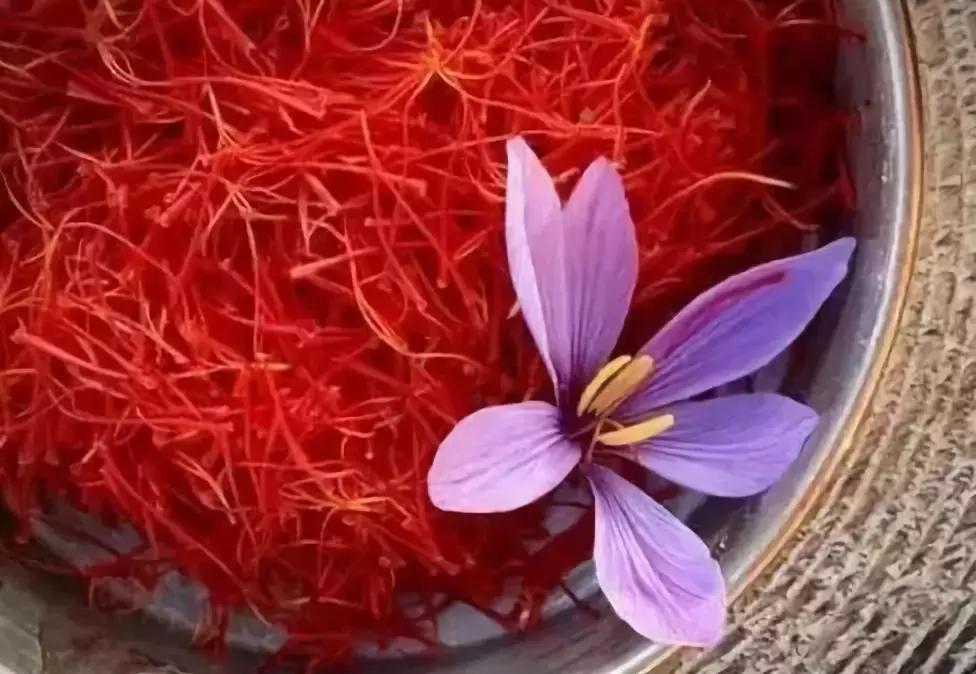 藏红花从哪买最正宗又便宜,藏红花市场靠谱吗