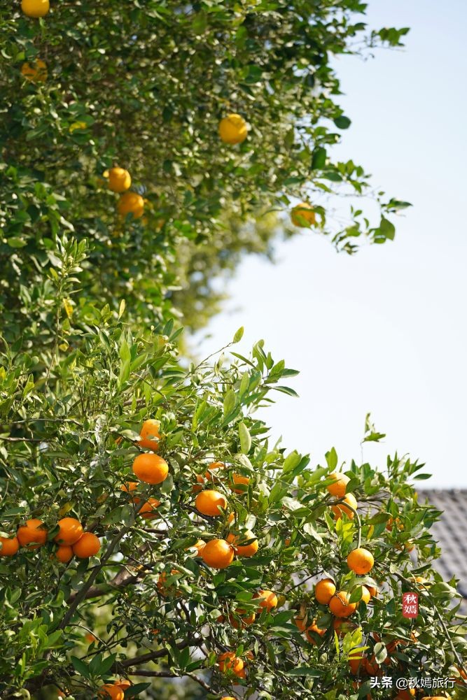 常熟海虞铜官山景区有什么,常熟海虞铜官山生态观光园
