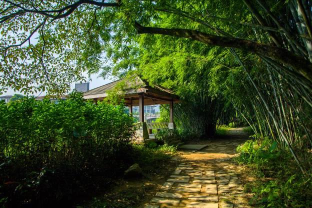 杞人找我做咨询：天要塌了怎么办？