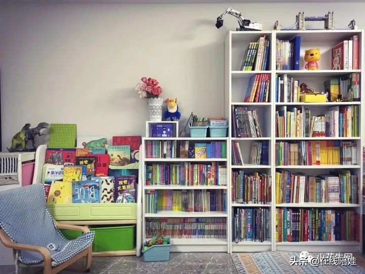 书柜开放式好看还是有门好看,书柜选开放式