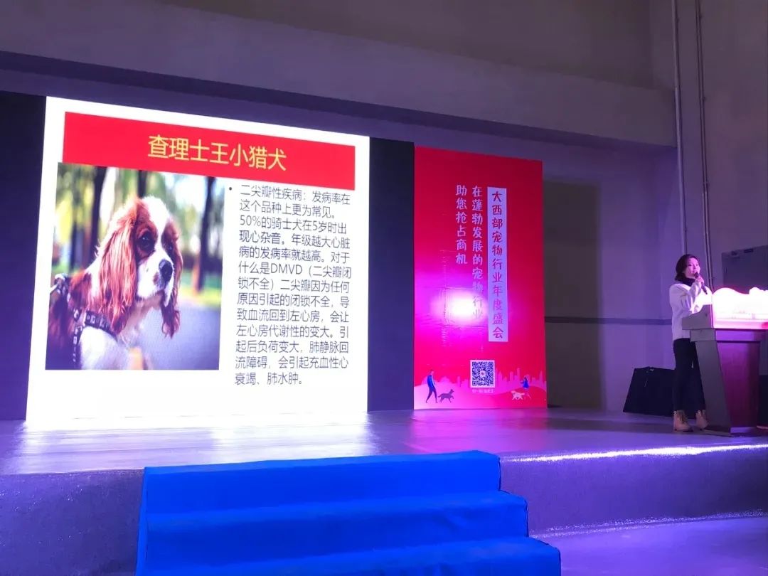 铲屎官实力,铲屎官挣钱不容易