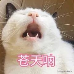 变频空调12小时3.2度电,一晚1度电的变频空调