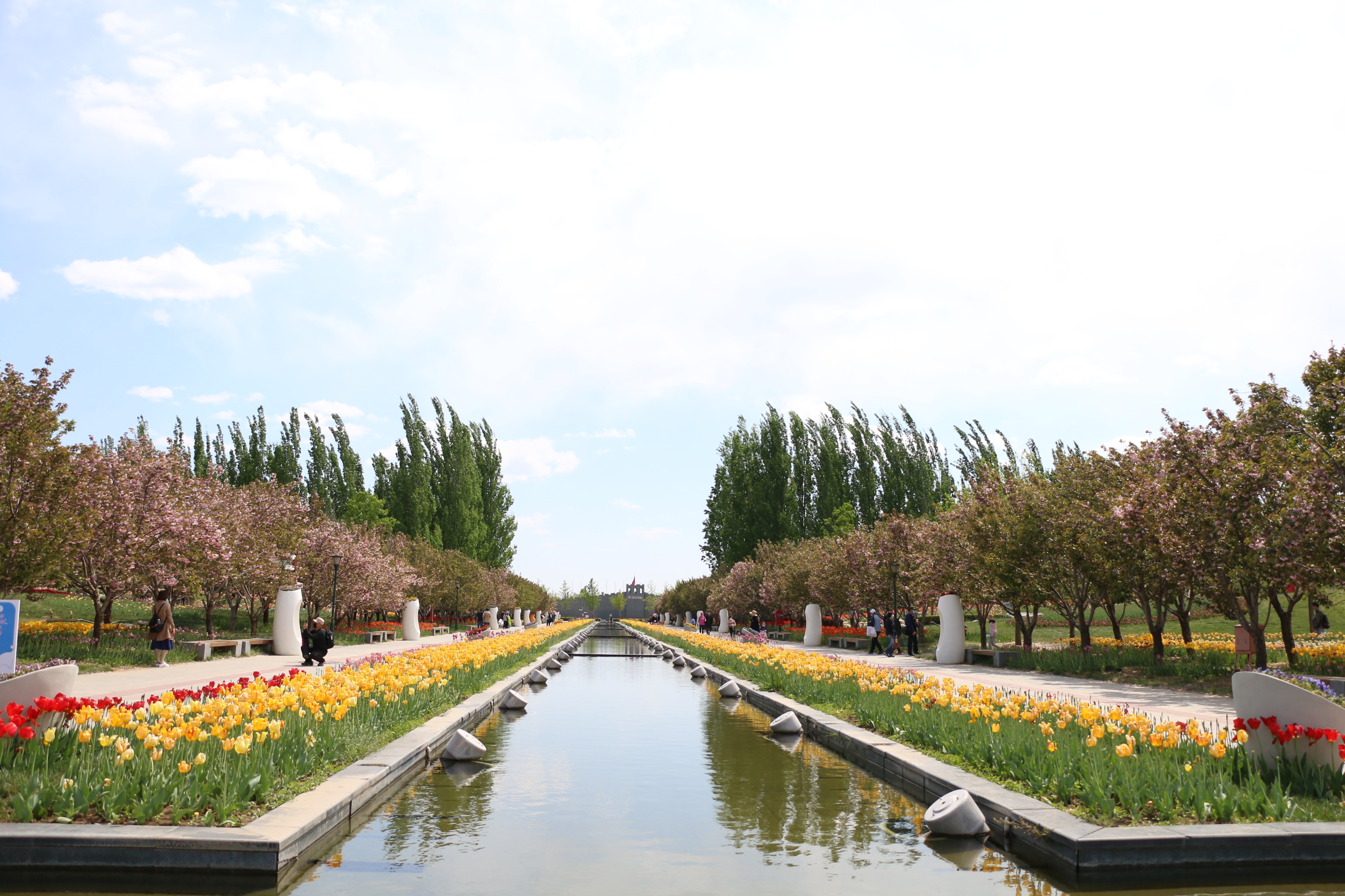 游北京国际鲜花港体会,游北京国际鲜花港需要多长时间
