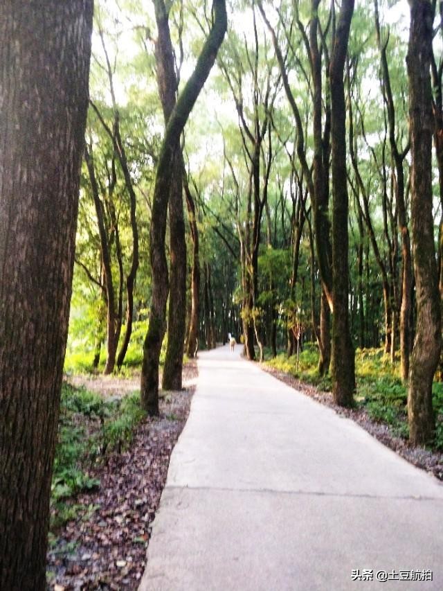 小县城也能这么美,湖南洞口县旅游攻略