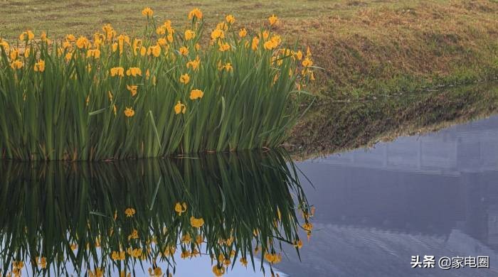 家电行业怎么做才能卖得快,实体店逆袭的机会