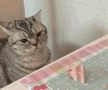 柳州脆皮五花肉多少钱一斤,广西柳州五花肉价格表