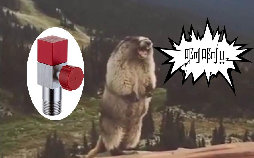 大过年的说点高兴的事情,大过年的给大家说点开心的事