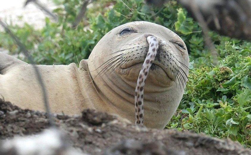 世界100大未解恐怖之谜纪录片,世界十大未解之谜