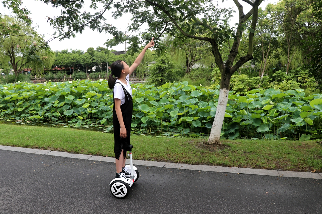 多种路面通过性强，试玩有酷炫灯效的乐行天下E3平衡车