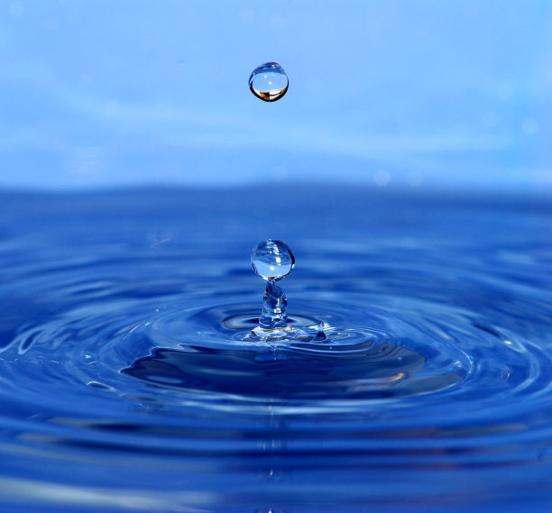 野外求生获取水,野外求生怎么获得水