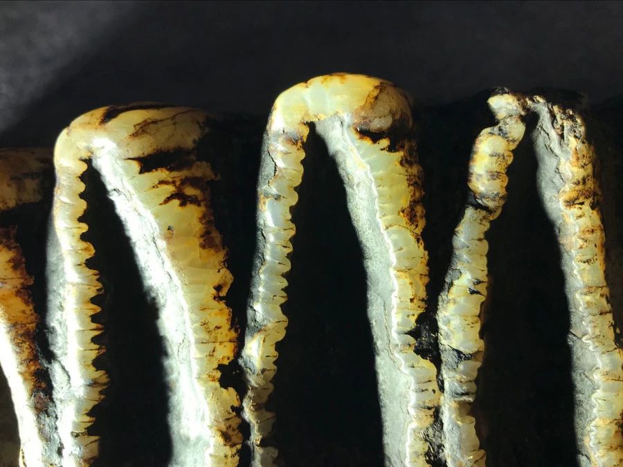 惊世奇观丨汉中68万岁天坑揭秘，地下河、剑齿象化石...