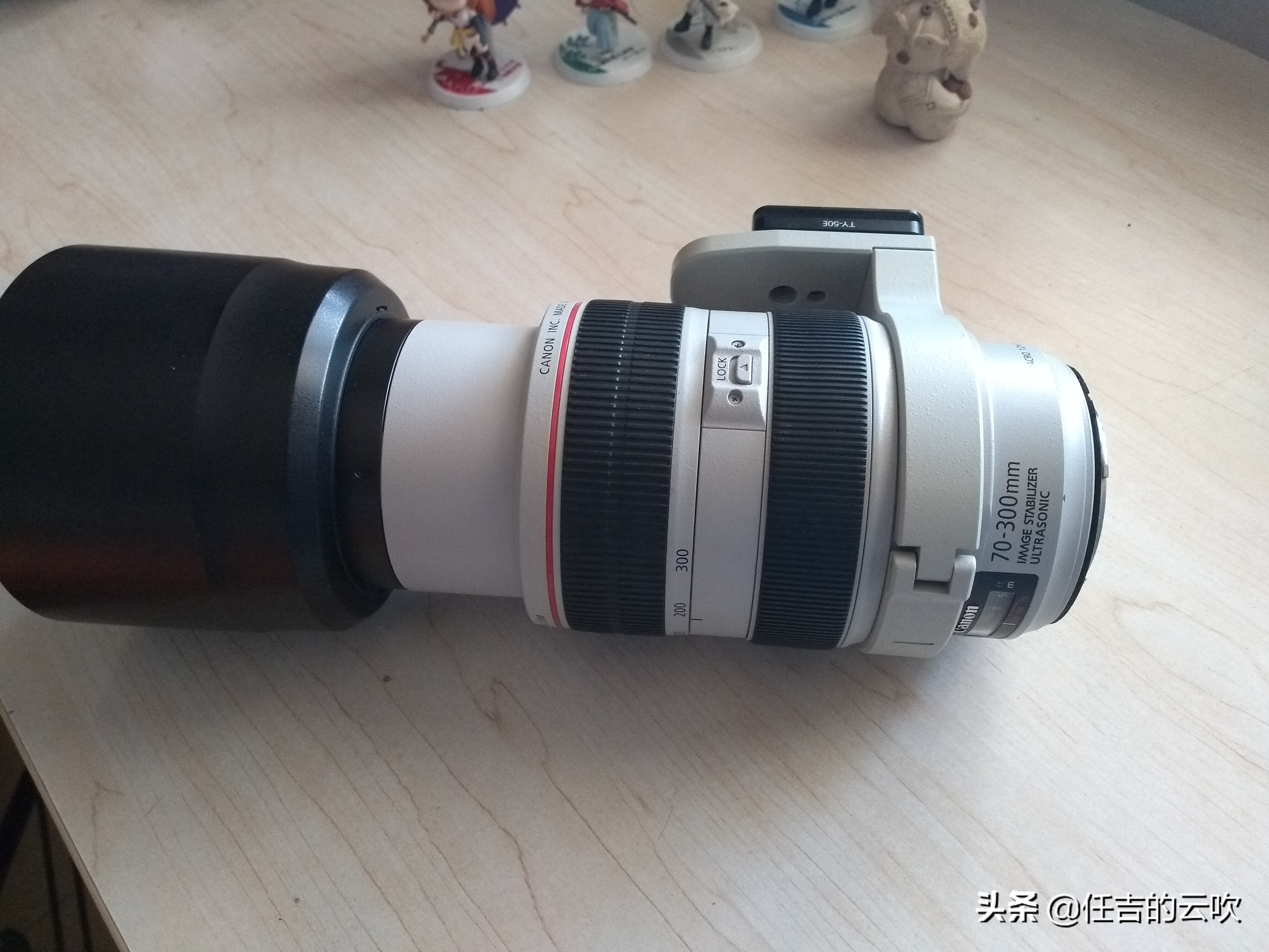 佳能70-300二代和胖白哪个好,佳能70-300l胖白