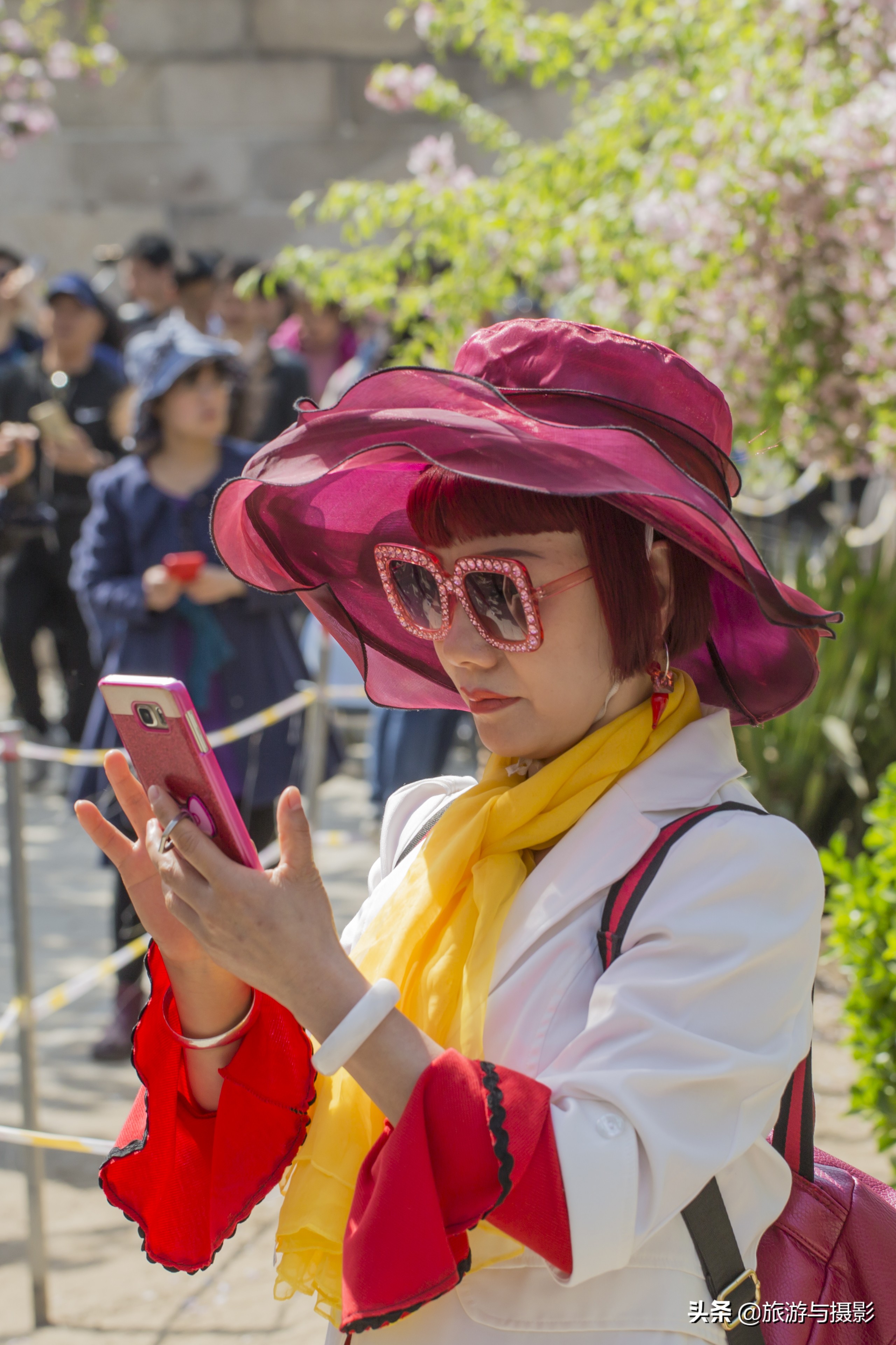 海棠花诗七绝,南宋海棠花图古诗