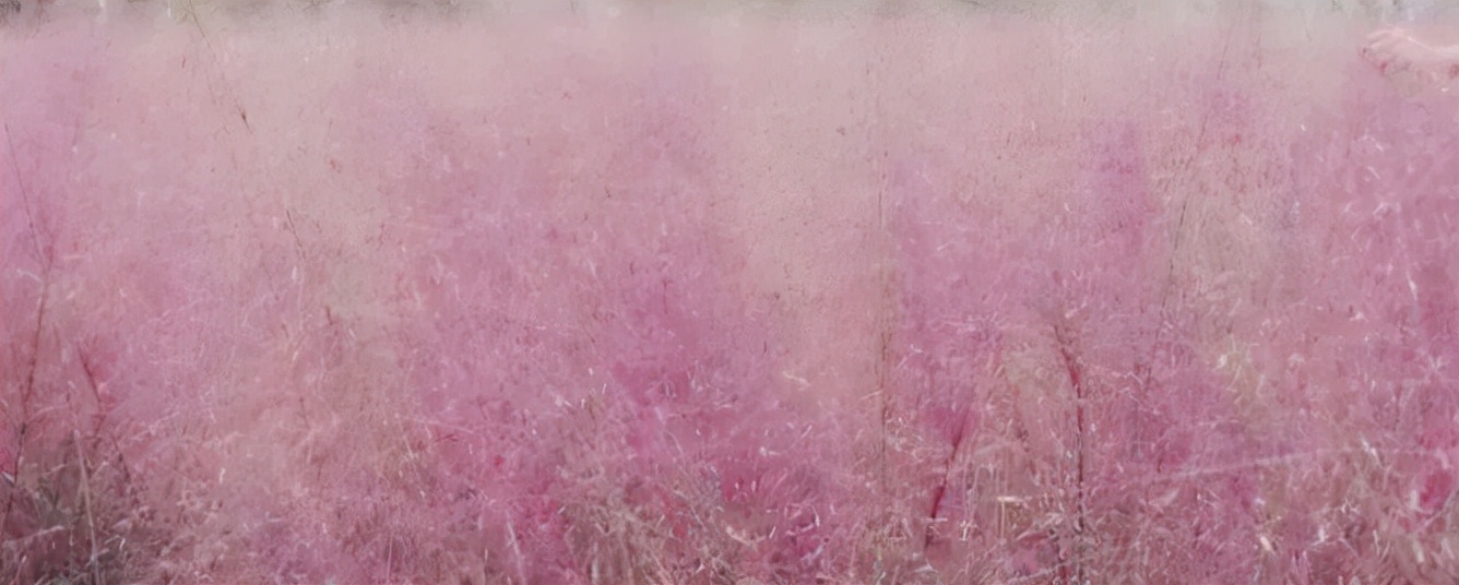 金的功用,金的功能主治