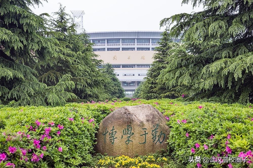 爸妈我想回家视频,爸妈我想回家了原视频