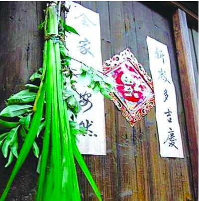 端午节为什么要挂艾草简短,端午节挂艾草是什么意思啊