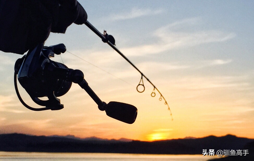 路亚赤眼鳟攻略,赤眼鳟路亚操作手法