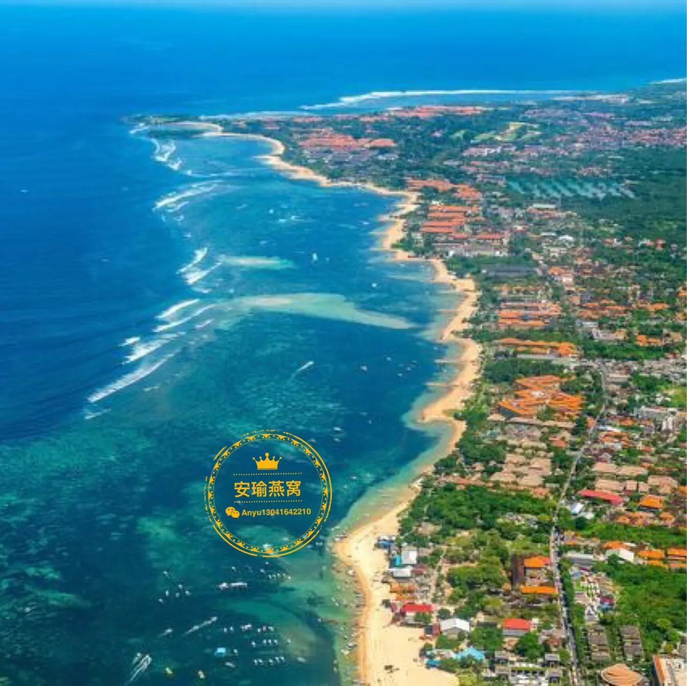 马来西亚和印尼的燕窝价格,马来西亚和印尼的燕窝对比