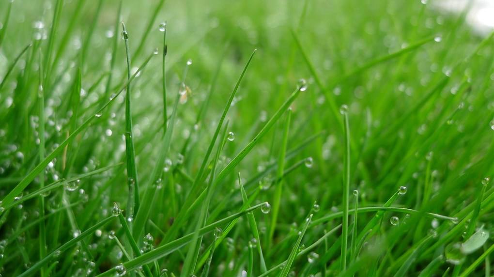 寡言养气后半生最好的活法,做一个寡言的人于淡泊中平和自在