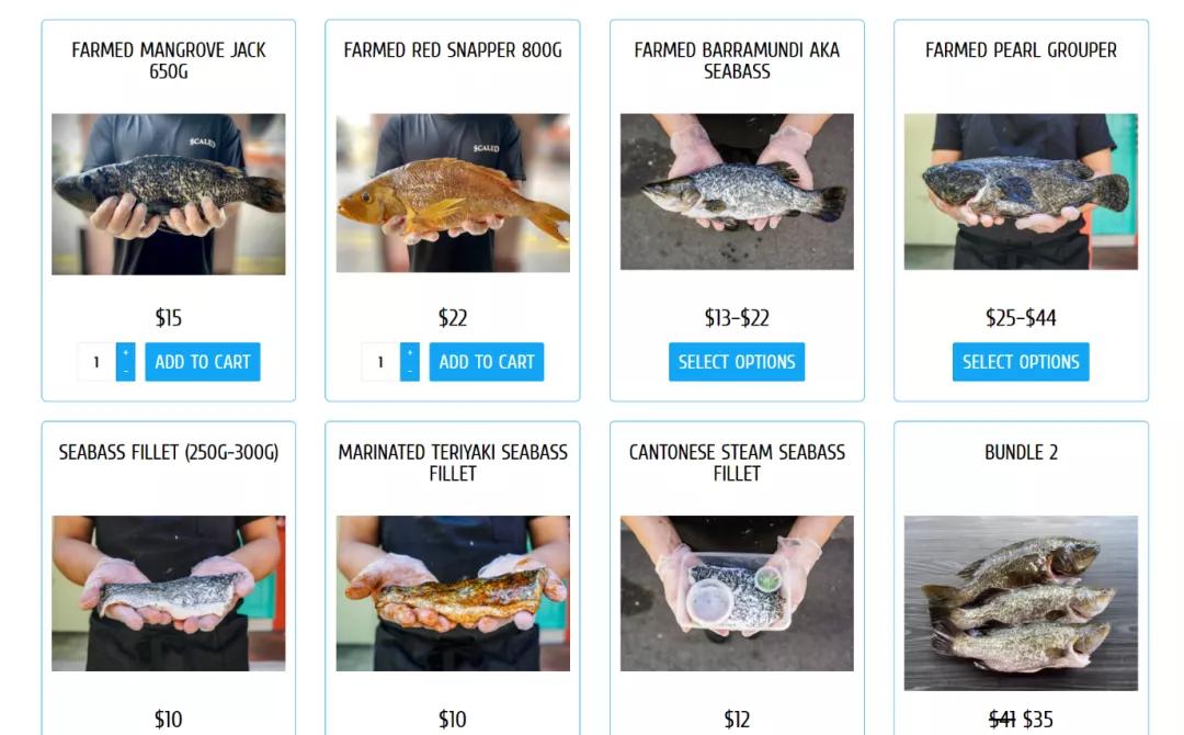 最全整理！新加坡9家订海鲜网站，甜虾、生蚝、海胆、日本扇贝