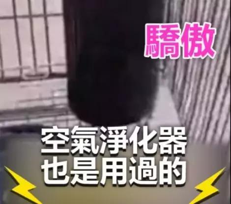 十万元爱马仕,十万左右的爱马仕包