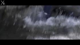 揭秘日本水怪之谜,传说中的日本水怪会是一种濒临灭绝的鱼吗?