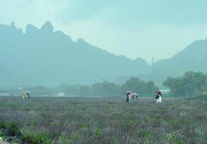 浙江台州怎么介绍,浙江台州详细地址