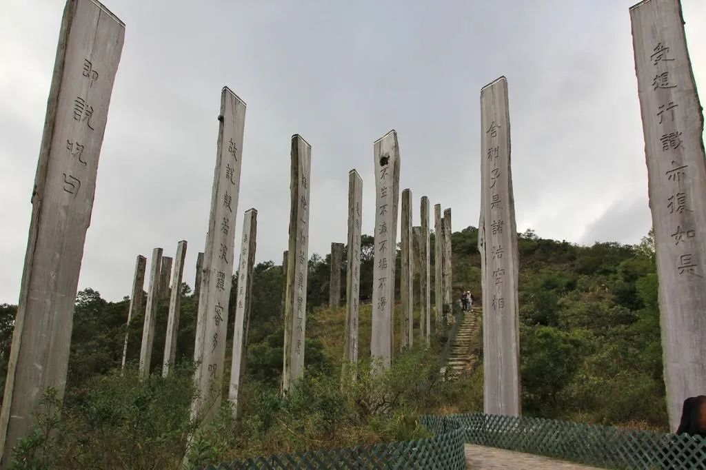 屹立凤凰顶,全览明珠貌