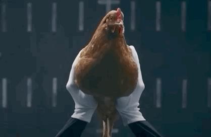 稳定器使用简易指南，教你如何用稳定器出“大片”