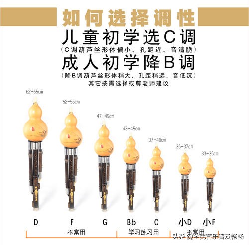 关于葫芦丝的绘画,关于葫芦丝推荐文章