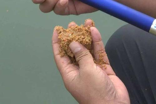 网络曝光坑人的老板,为什么黑坑钓鱼越来越少