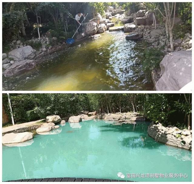 一篇文章搞懂全部文言文,管南神盘