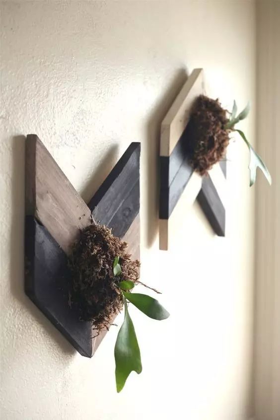 置爱｜植物1.0是种在盆儿里的，植物2.0都趴在墙上的