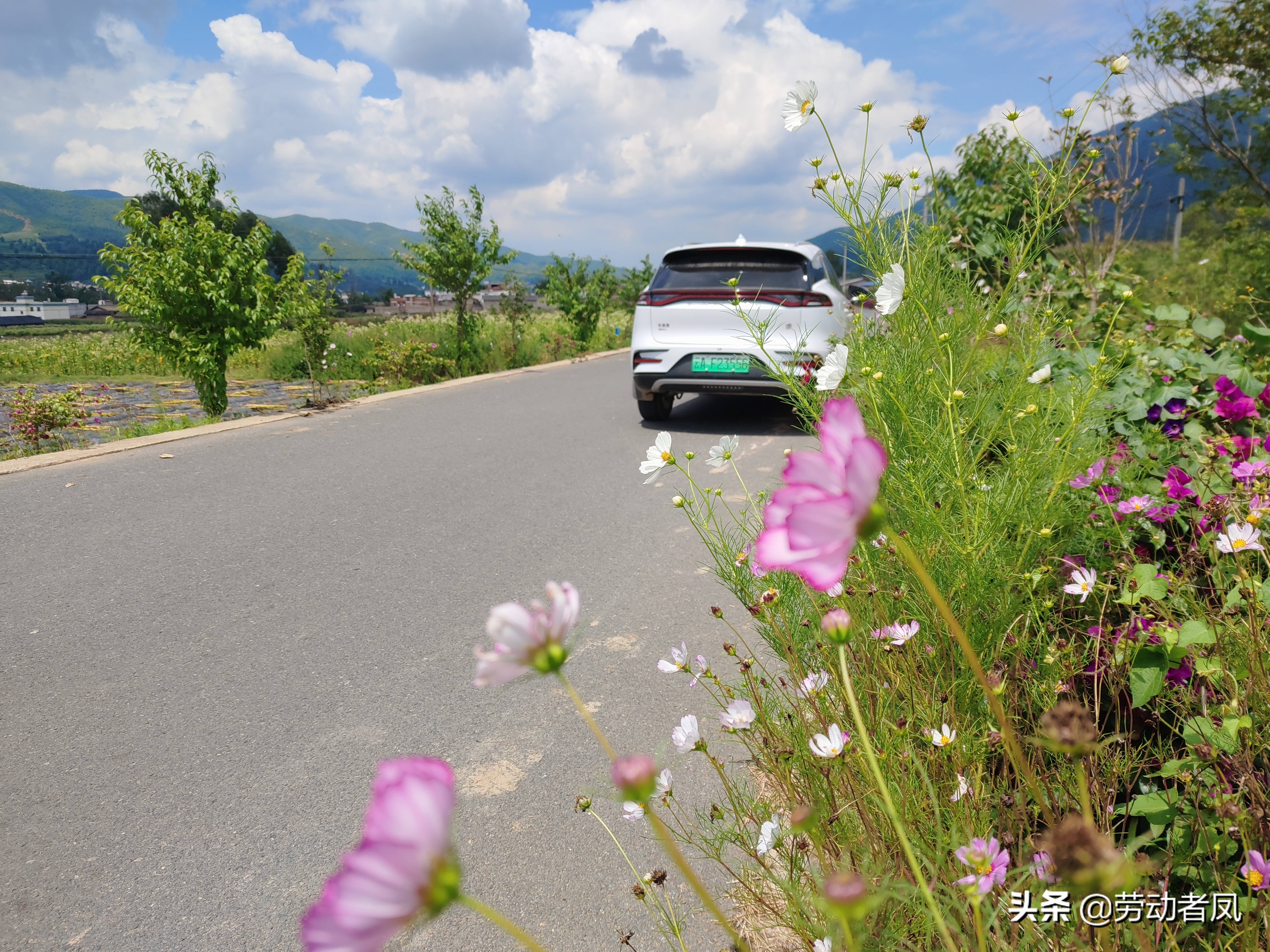 唐dmi车内怎么锁住不让外面开门,唐dmi儿童锁故障