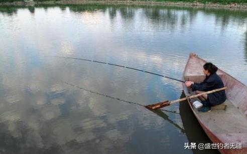 钓小白条要掌握哪些技巧,钓白条的正确方法和技巧