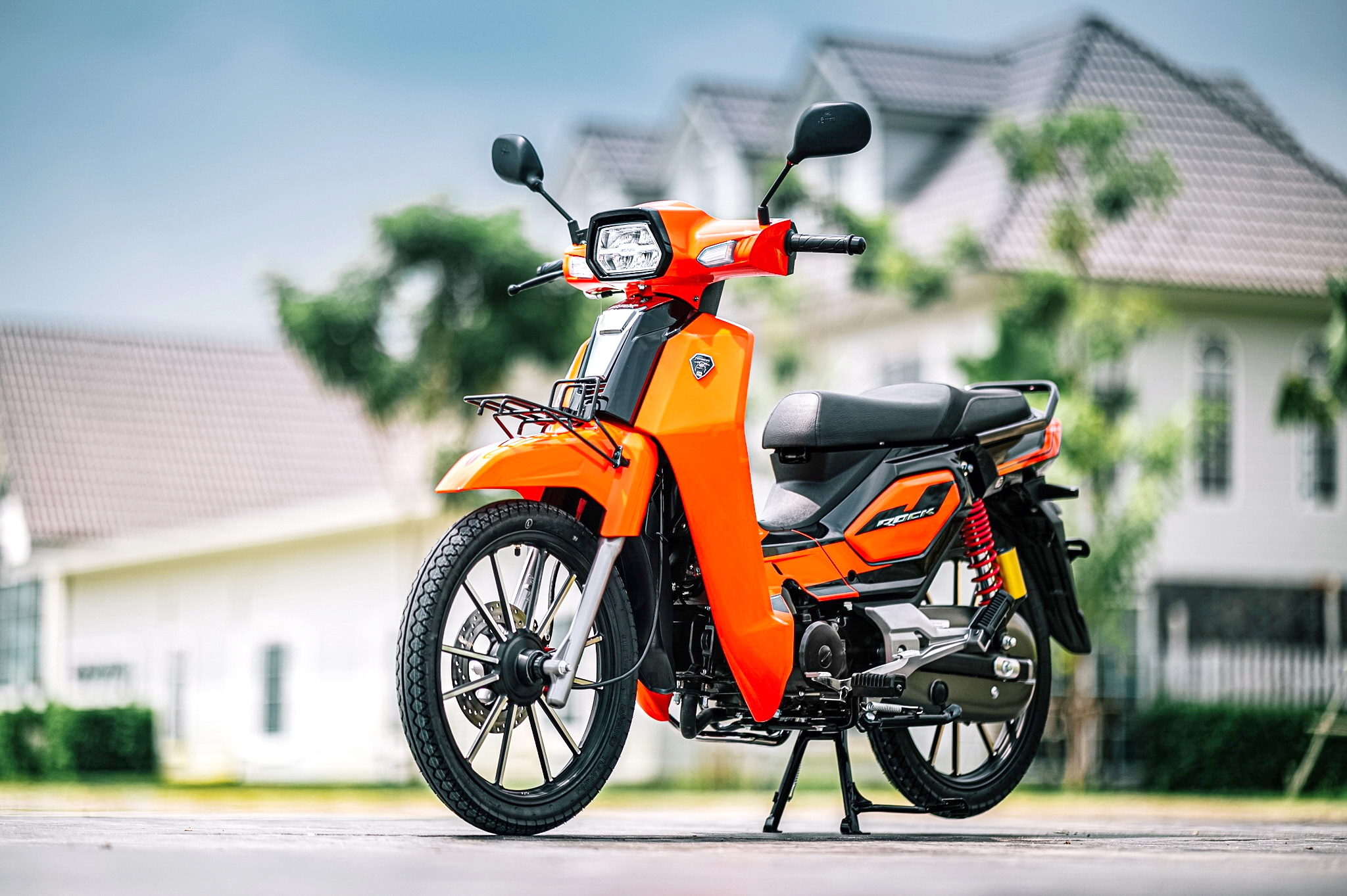 新瓶装老酒图片,老酒酒瓶图片大全