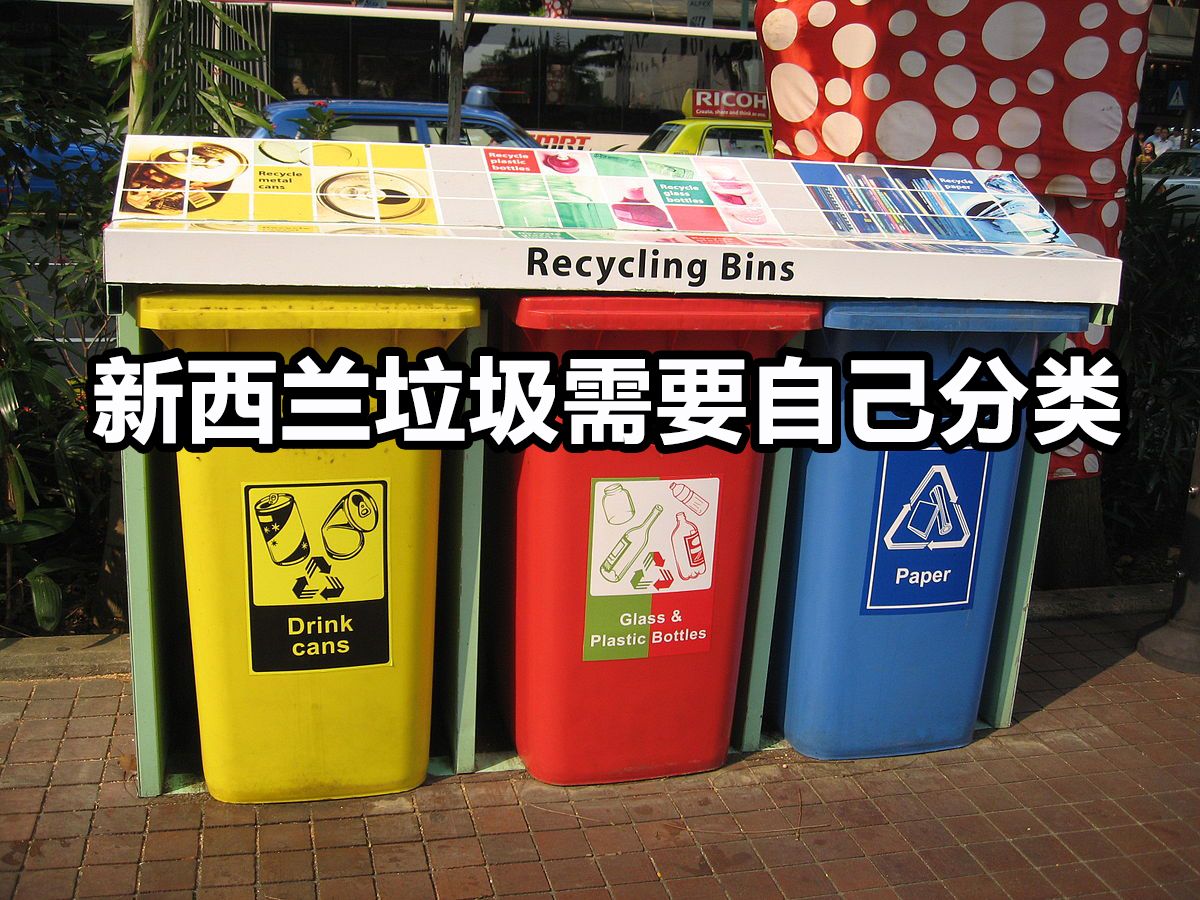 在新西兰生活真实感受,新西兰的亲身经历